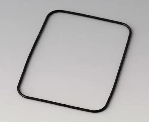 B1924101 Dichtung  E50/EF50