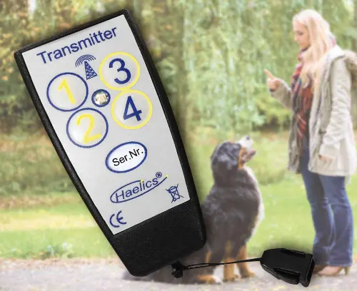 Dispositif d’entraînement à distance pour l’éducation des chiens