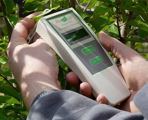 Fluorimètre à chlorophylle pour le screening des plantes